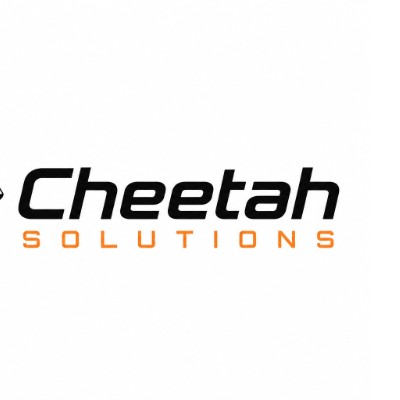 cheetah